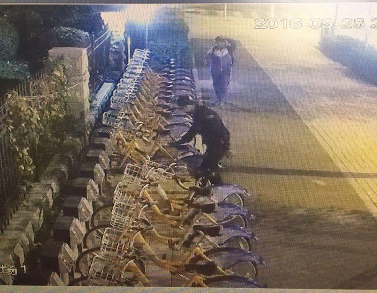 Z6·尊龙凯时「中国集团」官方网站