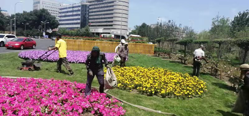 Z6·尊龙凯时「中国集团」官方网站