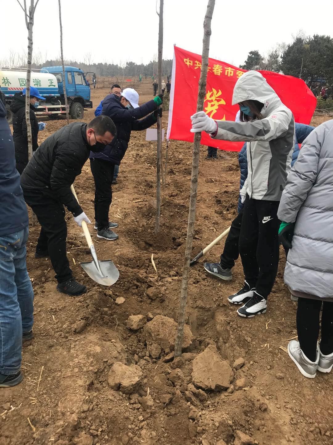 Z6·尊龙凯时「中国集团」官方网站