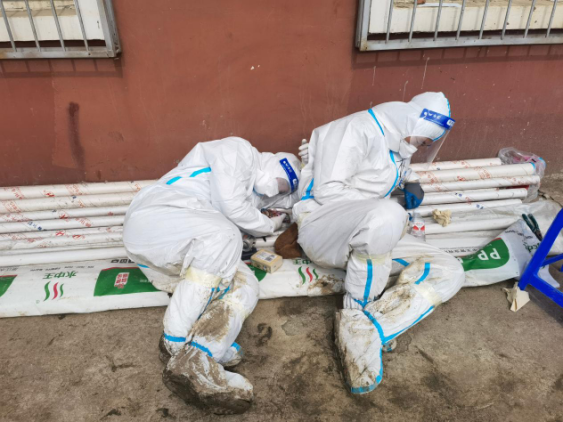 Z6·尊龙凯时「中国集团」官方网站